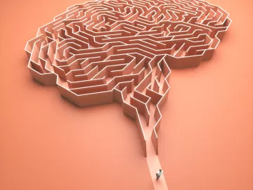 A person walks toward a pink maze shaped like a brain.