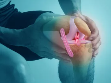 A person grabs their knee while the illustration shows inner tendons.