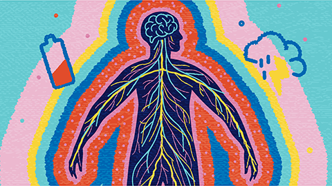 Vector illustration of a Nervous System abstract.